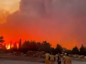 Menteşe’de orman yangını
