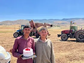 Mercimek tarlasında kavurucu sıcak altında doğum günü sürprizi
