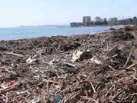 Mersin sahillerinde selin denize taşıdığı balçıklar temizleniyor
