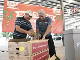 Mersin’de 200 üreticiye yüzde 70 hibeli domates fidesi desteği
