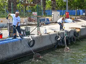 Mersin’de 53 kilometrelik kıyı şeridi 7/24 gözetim altında
