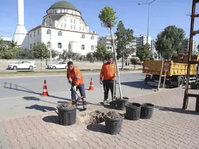 Mersin’de ağaçlandırma seferberliği başladı
