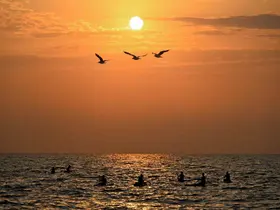 Mersin’de deniz sporları ücretsiz eğitimlerle yaygınlaşıyor
