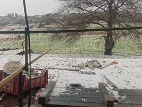 Mersin’de dolu: Ekili alanlar zarar gördü
