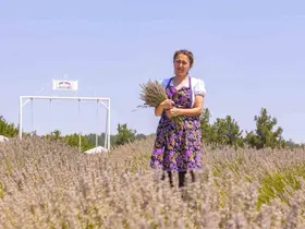Mersin’de kadın girişimci lavantayı kazanca dönüştürdü
