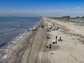 Mersin’de öğrenciler sahil temizliği için seferber oldu
