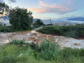 Mersin’de sağanak etkili oldu: Sel suları yolu aştı, bahçeler sular altında kaldı
