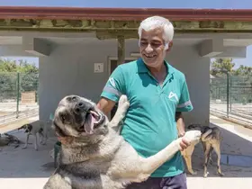 Mersin’de sahipsiz hayvanlar tedavi edilip sıcak yuvalarına kavuşuyor

