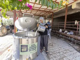 Mersin’de üreticiye yüzde 50 hibeli süt soğutma tankı desteği
