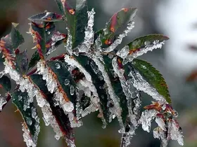 Meteoroloji'den Konya ve çevresine kritik uyarı