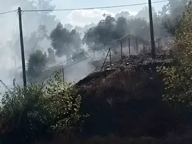 Milas-Söke karayolu üzerindeki yangın büyümeden söndürüldü
