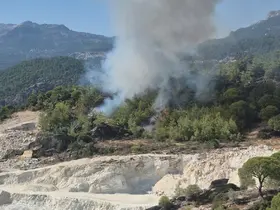 Milas’ta orman yangını

