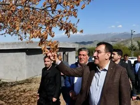 Milletvekili Tüfenkci’den zirai don açıklaması
