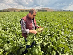 Milli Savunma Bakan Yardımcısı Ayhan’dan memleket paylaşımı
