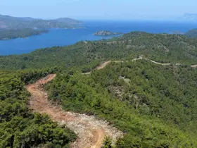 Muğla ve Aydın’da Orman yangın şerit yolu uzunluğu 2 bin kilometreye çıkıyor
