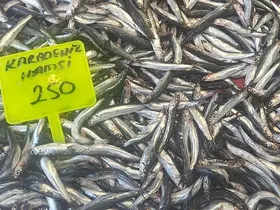 Muğla’da Karadeniz hamsisi kilosu 250 TL’den satışta
