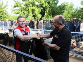 Muğla’da Kurban pazarlarında sıkı denetim

