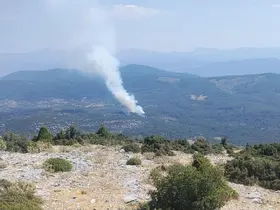 Muğla’da orman yangını
