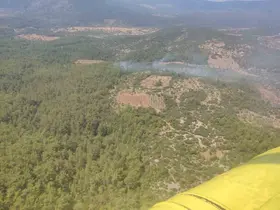 Muğla’da orman yangını kontrol altına alındı
