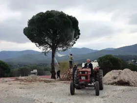 Muğla’da üreticiye doğal ilaç desteği
