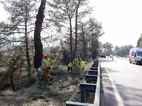 Muğla’da yangın sezonu öncesi Sakar Geçidi’nde riskli dallar temizleniyor
