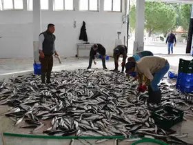 Muğla’nın Temmuz ayı ihracatı 142 milyon dolara ulaştı
