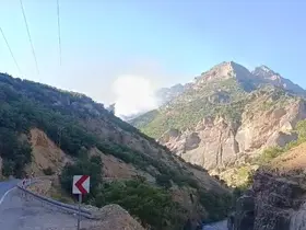 Munzur Vadisi Milli Parkı’nda örtü altı yangınına müdahale sürüyor

