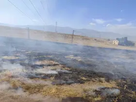 Muş’ta iki bölgede çıkan anız yangınları söndürüldü

