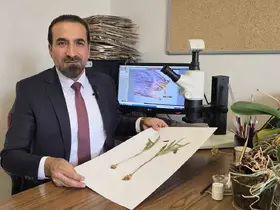 Muş’ta yetişen yeni bitki türü keşfedildi
