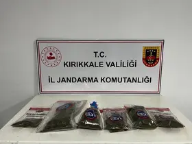 Narkotik köpeği "Evin" uyuşturucuyu tespit etti: Bahçede kenevir ve esrar ele geçirildi
