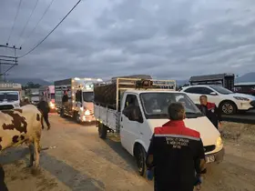 Nazilli Hayvan Pazarı açıldı, denetimler sıkılaştırıldı
