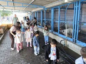 Nazilli’de minik öğrenciler can dostlarla bir araya geldi
