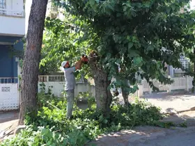 Nazilli’de yeşil alanlarda sonbahar hazırlığı

