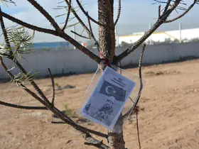 NEÜ, iki farklı etkinlikle şehitlerin hatırasını yeşertti