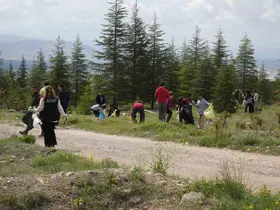 Niğde’de ’Ormanı sev, yeşili koru’ mesajı ile sahaya çıkıldı
