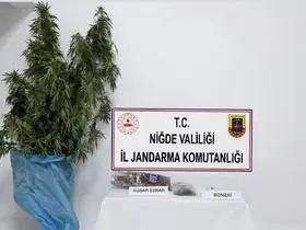 Niğde’nin Bor ilçesinde uyuşturucu operasyonu
