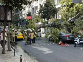 Nişantaşı’nda çınar ağacı iki aracın üzerine devrildi
