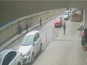 Öğrencilerin kurtarmaya çalıştığı yavru kuşu karga kaptı

