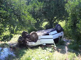 Önüne çıkan kediye çarpmamak için direksiyonu kırınca bahçeye uçtu
