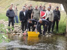 Ordu’da 35 bin doğal alabalık dereye bırakıldı
