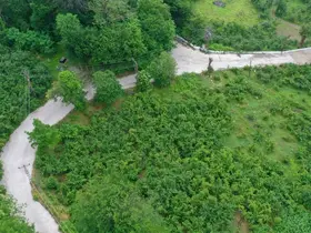 Ordu’da beton yol çalışmaları

