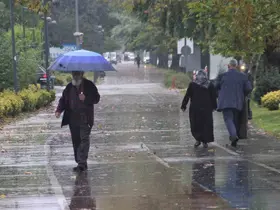 Ordu’da sağanak
