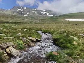 Ordu’nun yaylalarında yaz güzelliği
