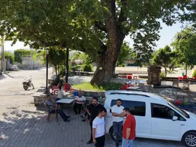 Osmaniye’de 260 yıllık çınar yaz sıcağında doğal klima oluyor
