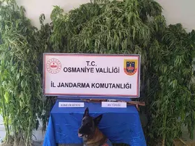Osmaniye’de jandarma bir haftada 128 şüpheli yakaladı
