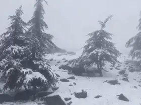 Osmaniye’nin yüksek kesimlerine kar yağdı

