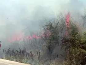 Otluk alanda çıkan yangın korkuttu
