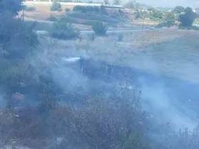 Otluk alanda çıkan yangın seralara sıçramadan söndürüldü
