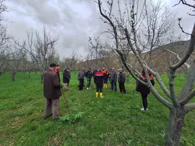 Otlukbeli’nde üreticilere meyve ağaçlarında budama eğitimi
