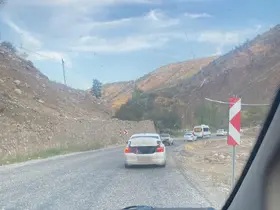 Otomobilin bagajında tehlikeli yolculuk
